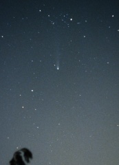 19960406 Comet Hyakutake